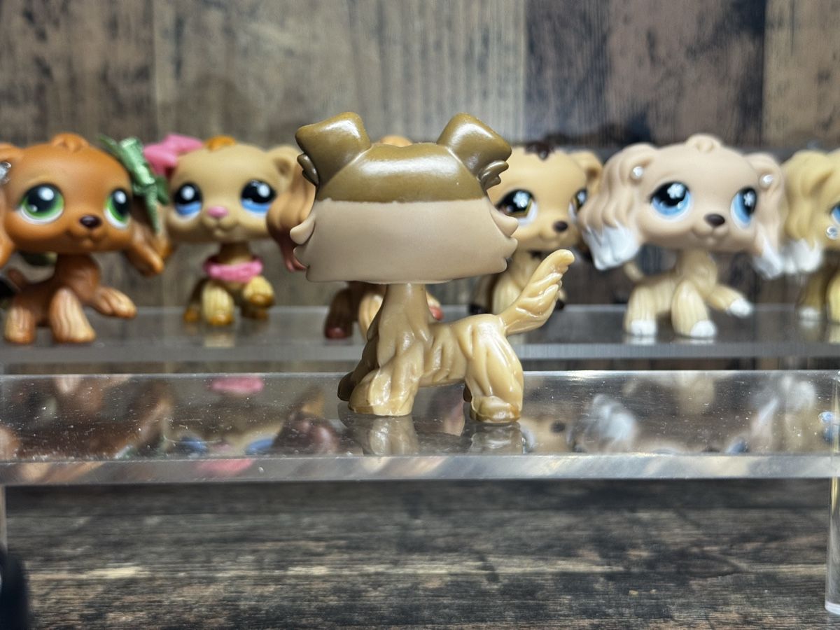 Hasbro Spielzeuge: Littlest pet shop Collie – Gebraucht aus Luzern von Maja.C 1