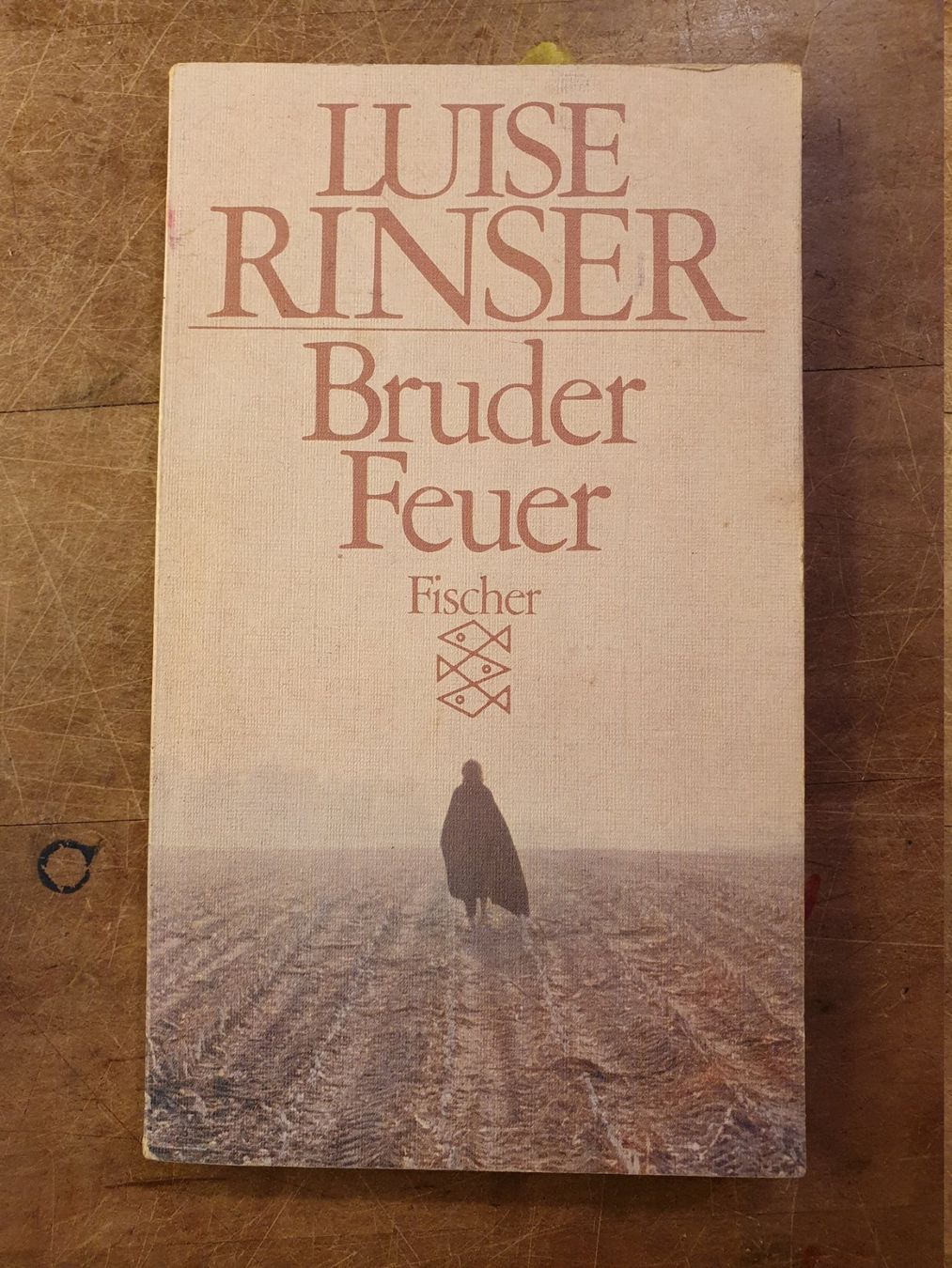 Libri: Bruder Feuer - Luise Rinser – Usato da Zürich venduto da loosebone