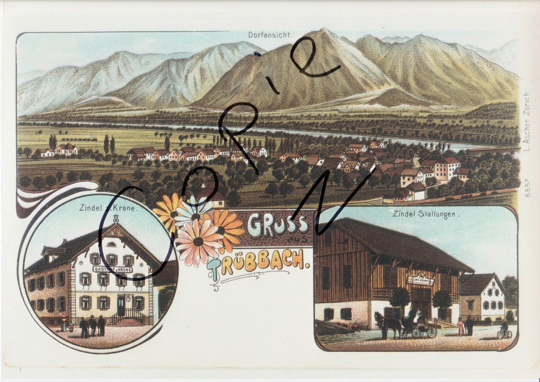 Cartoline postali: Gruss aus Trübbach -  (um 1900) – Usato da Fällanden venduto da Blausegelfliege