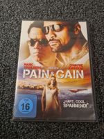PAIN & GAIN (9354)