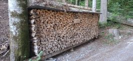 1 Steer Brennholz gelagert trocken gespalten, Fichtenholz.