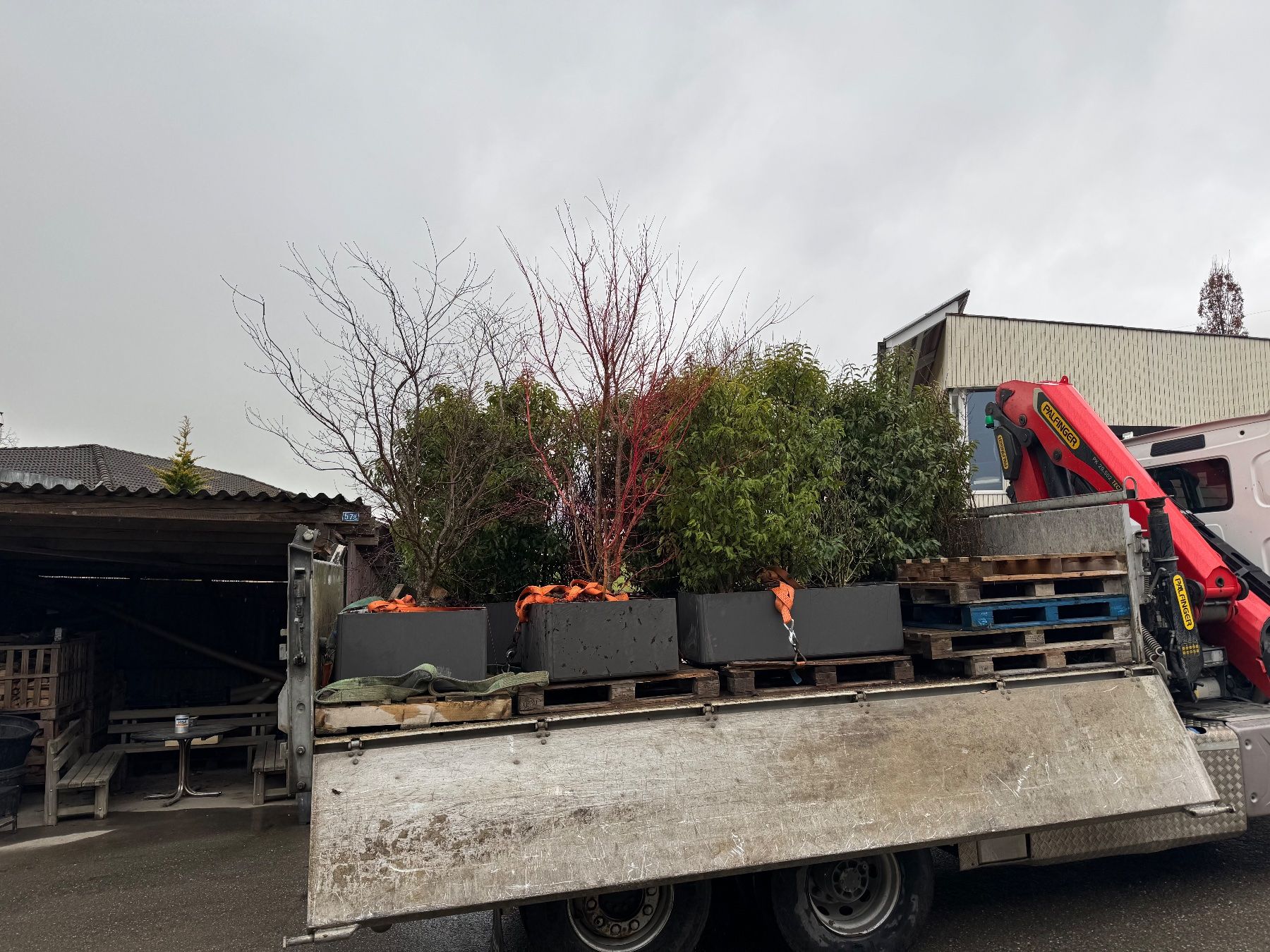 Eternit Vasi per fiori: Blumentröge Eternit anthrazit inkl. Bepflanzung – Usato da Giffers venduto da Mr.Dopeman 1