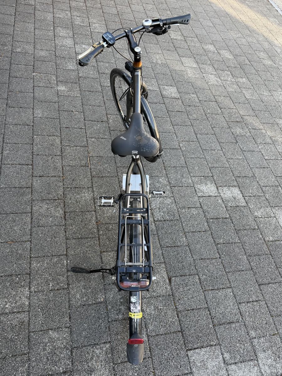 Raleigh Biciclette: Raleigh Dover E-Bike – Usato da Zofingen venduto da giu_p72q 1