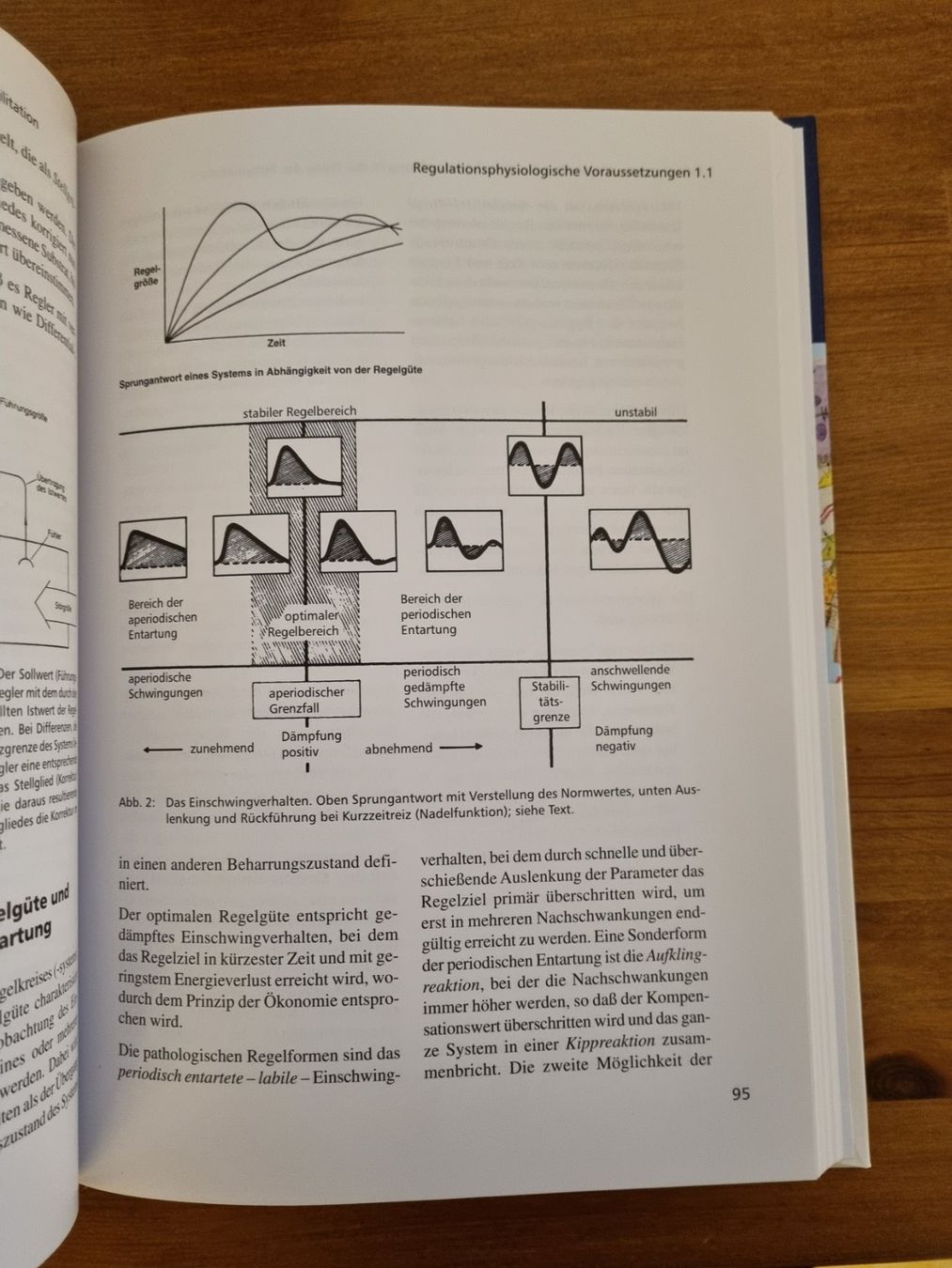 Libri: System der Grundregulation - A. Pischinger – Nuovo e nell'imballaggio originale da Jona venduto da YinYang9 9