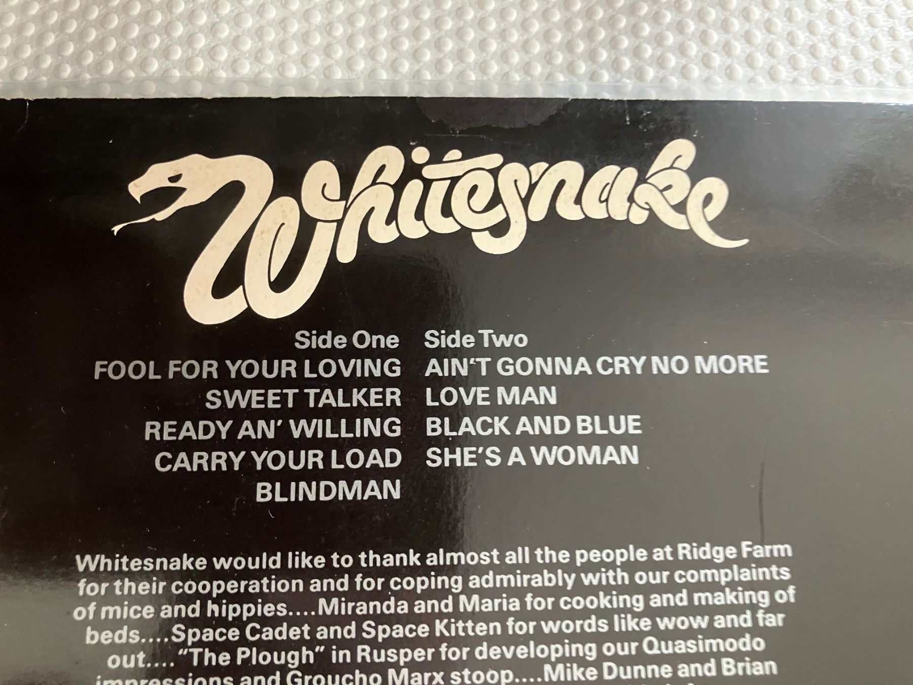 Dischi in vinile: Whitesnake – Usato da Aarwangen venduto da Jukebox3 3