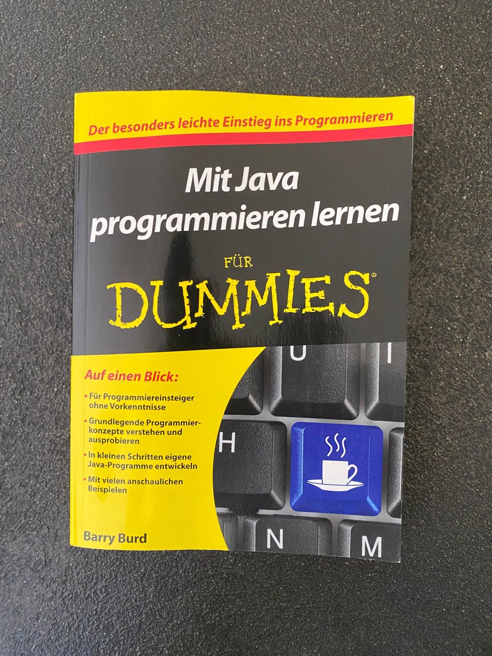 Livres: Mit Java Programmieren lernen für Dummies – D'occasion à Bern par Ledica