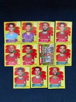 11 Panini Sammelbilder von Marokko