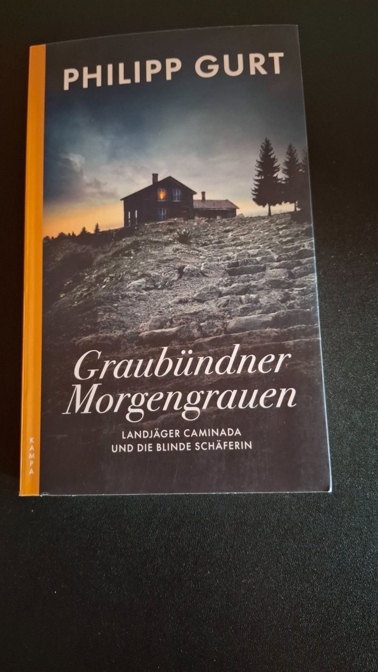 Libri: *Graubündner Morgengrauen* Philipp Gurt / Tb – Usato da Brütten venduto da Sigimi