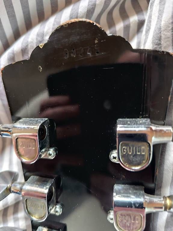 Guild Strumenti musicali: Guild Bluesbird M-75 1973, super Zustand – Usato da Urtenen-Schönbühl venduto da ChrigellT 4