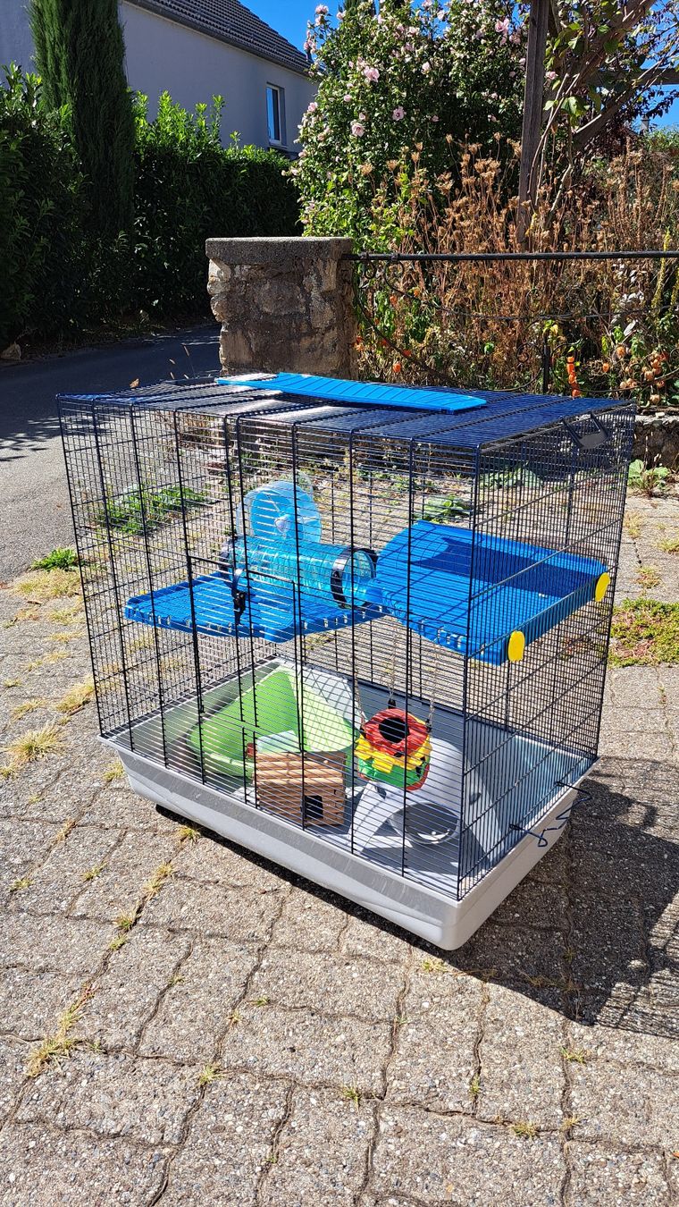 Gabbie, trasporto & Sicurezza: Cage gerbille hamster - petits rongeurs – Usato da Champagne venduto da taillecrayon1110 2
