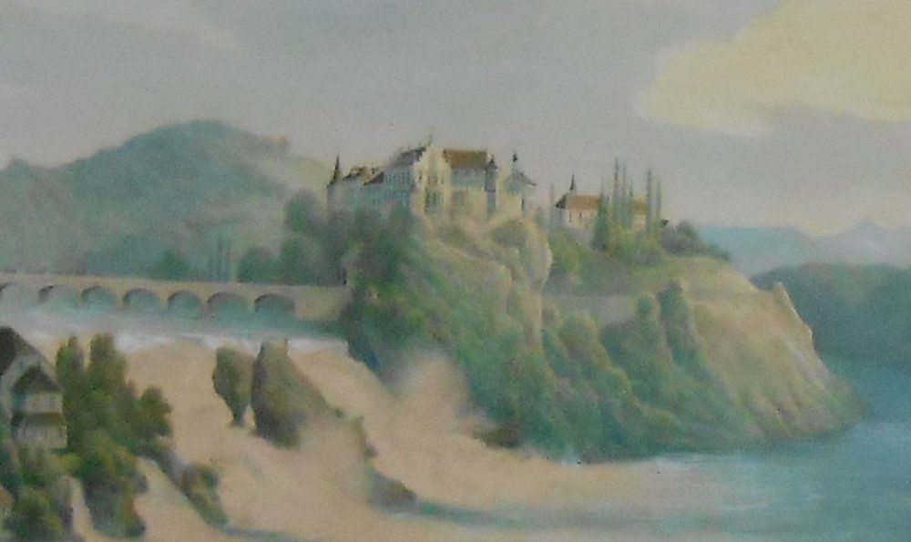 Incisioni: Rheinfall. Grossformatige Ansicht von ca 1880. – Usato da Basel venduto da Domba 2