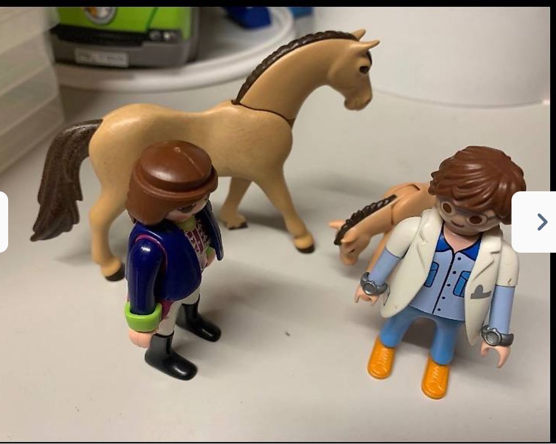 Playmobil Giocattoli: Pferdebox mit Koppel Playmobil – Usato da Kefikon ZH venduto da Haligali81 1