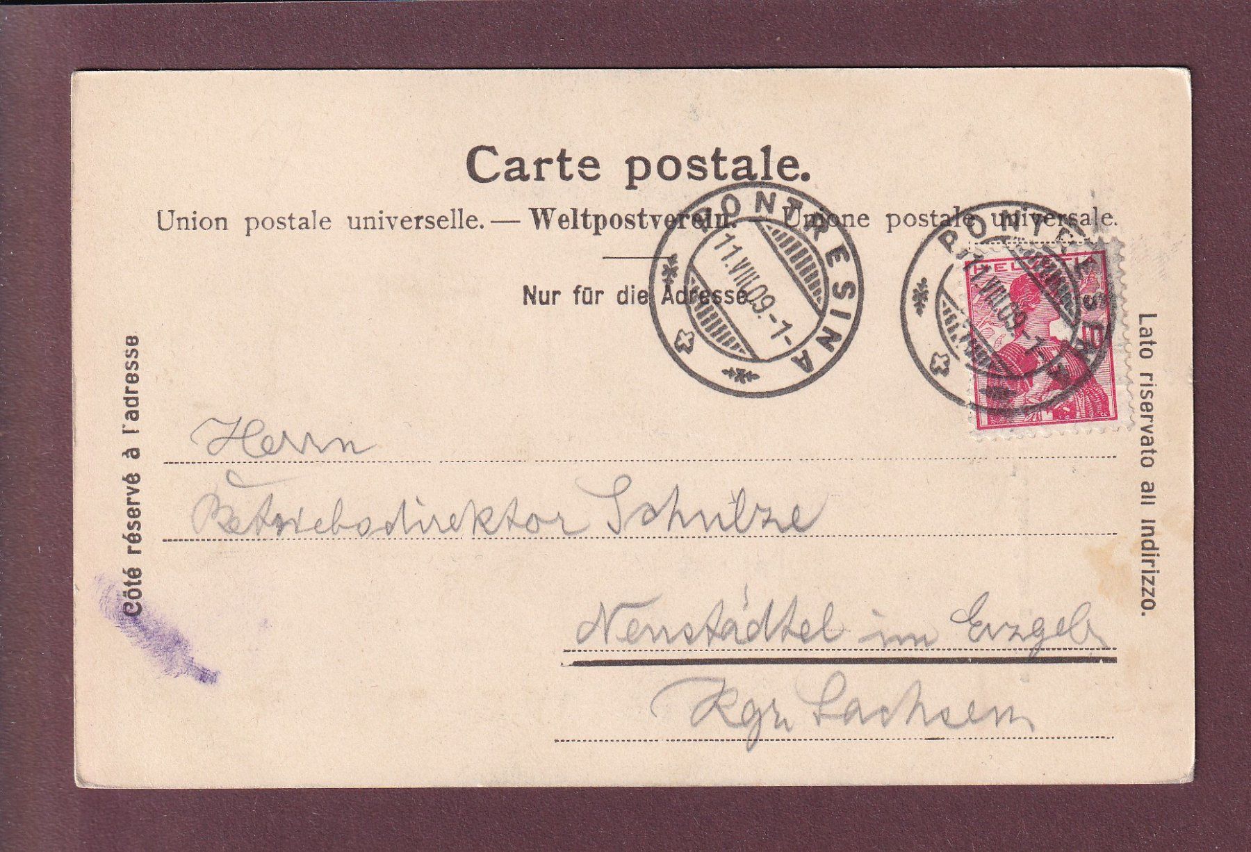 Ansichtskarten: PIZ BERNINA - Kühe - 1909 – Gebraucht aus Pully von nicecards 1