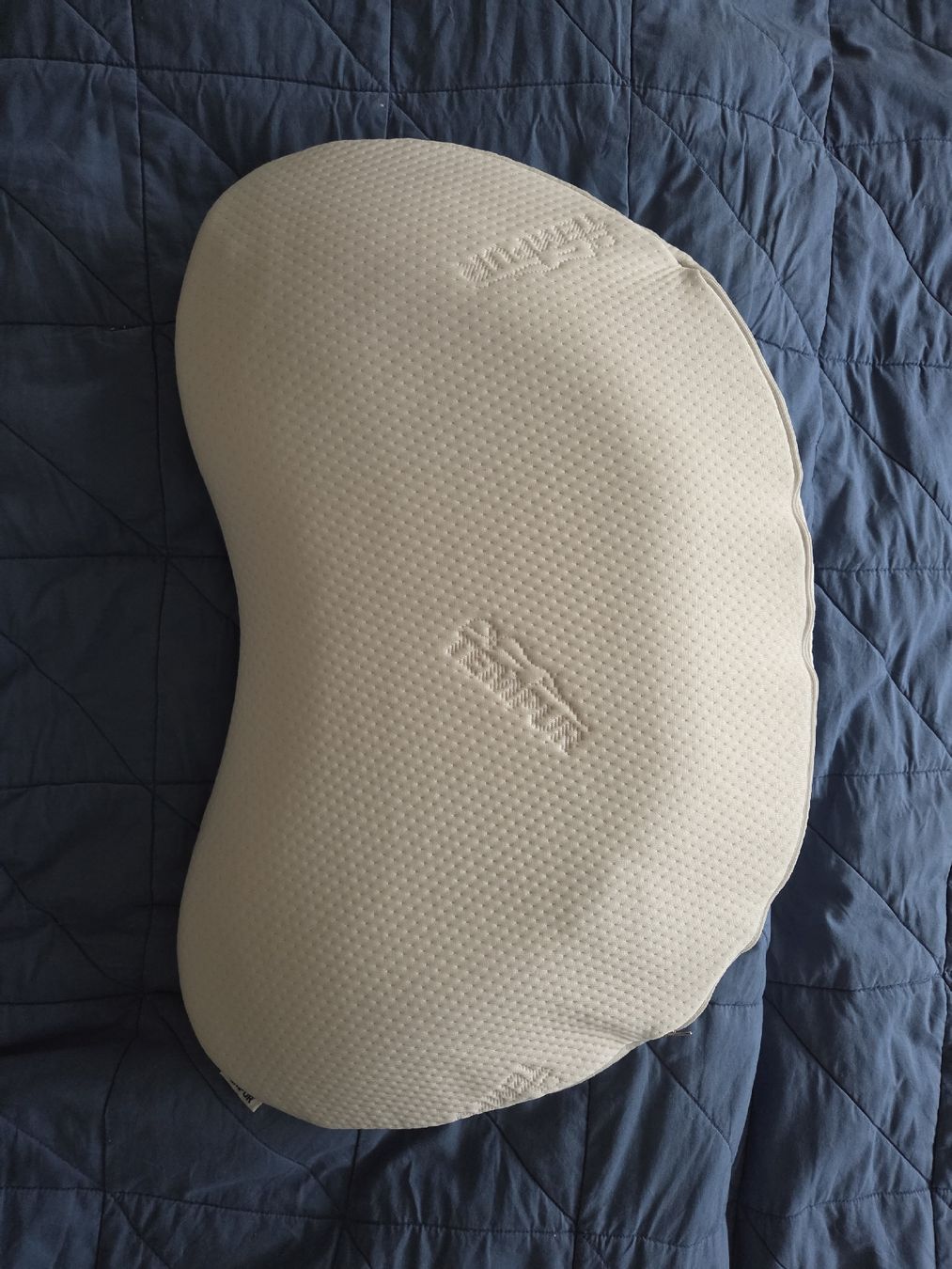 Tempur Cuscini: Tempur Kissen – Usato da Chur venduto da ma_._sol