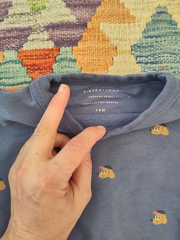 Pulls et sweat-shirts: Tinycottons 80/86 – D'occasion à Bottmingen par ili_7c8k 2