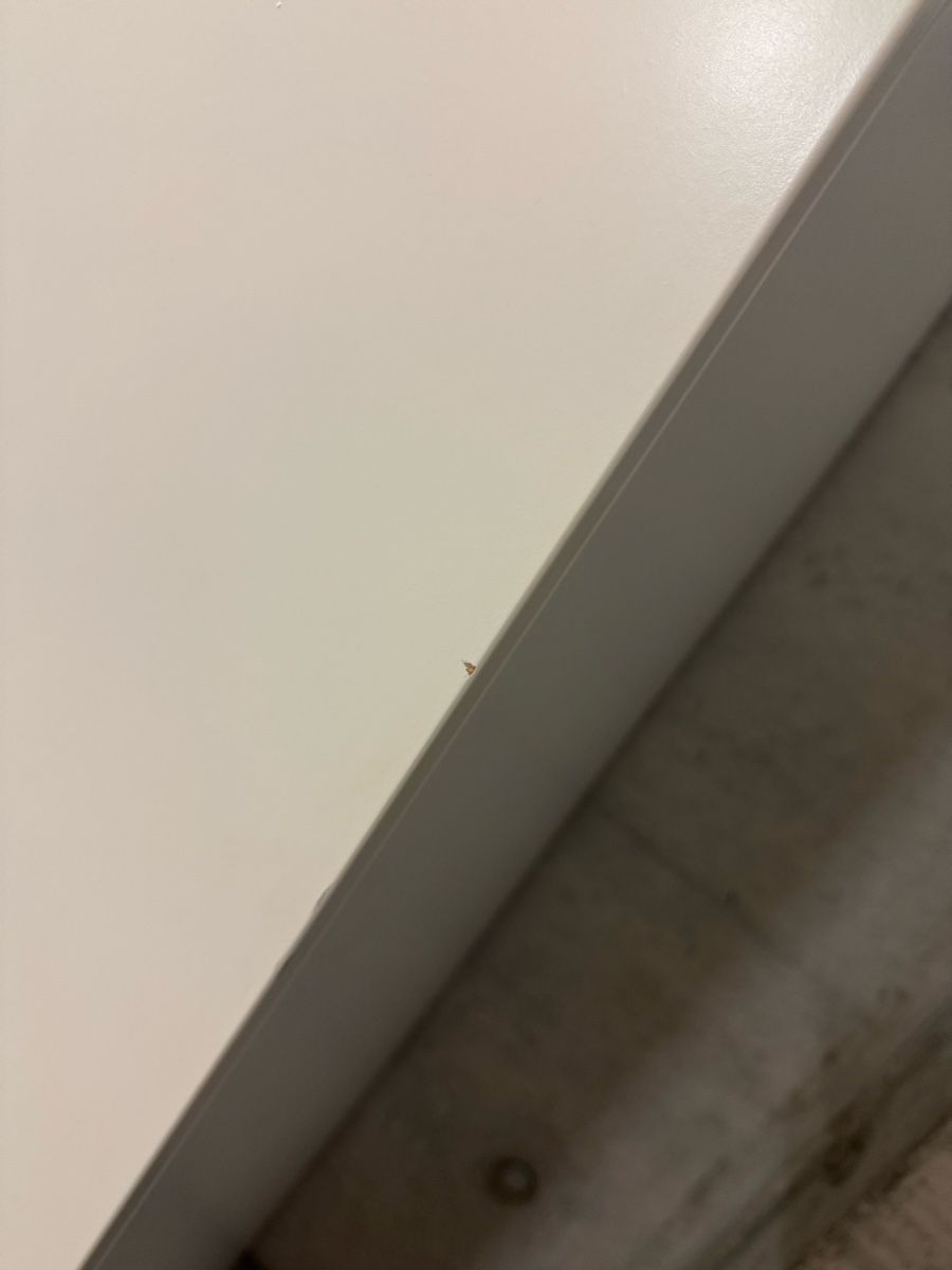 Ikea Armadi: kleiner (Kinder-)Schrank von Ikea – Usato da Winterthur venduto da ste_5vfj 6