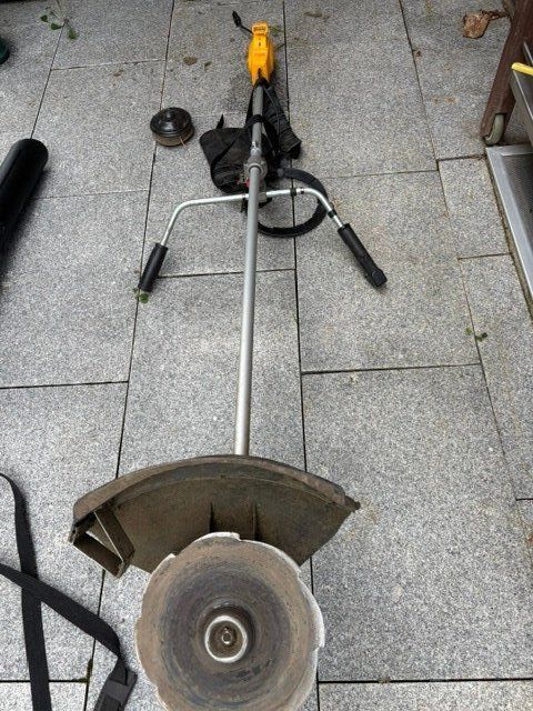 Ryobi Tutti gli attrezzi: Freischneider – Usato da Zumikon venduto da Karin54