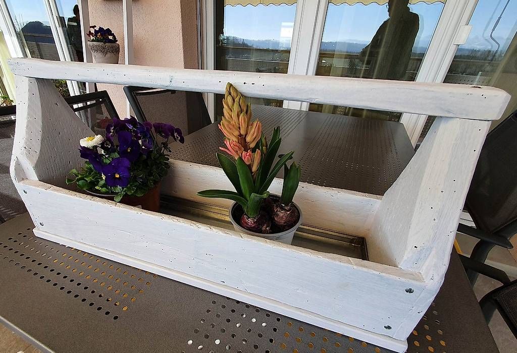 Blumentöpfe: Blumentrögli – Gebraucht aus Worb von Cdavinci 2