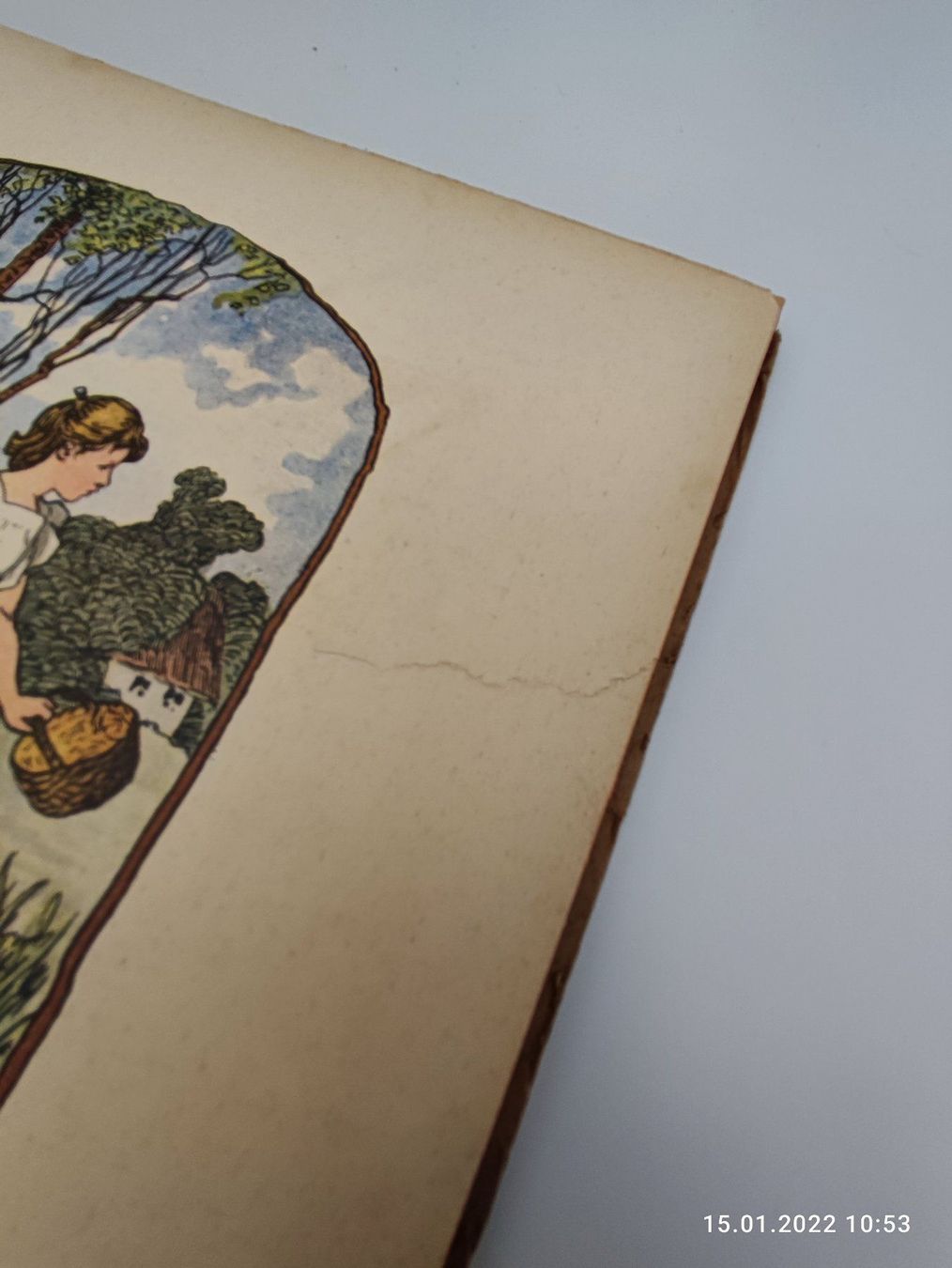 Libri: KINDERBUCH - META VOIGT - BRÜDERCHEN UND – Usato da Goldach venduto da Gaip 5