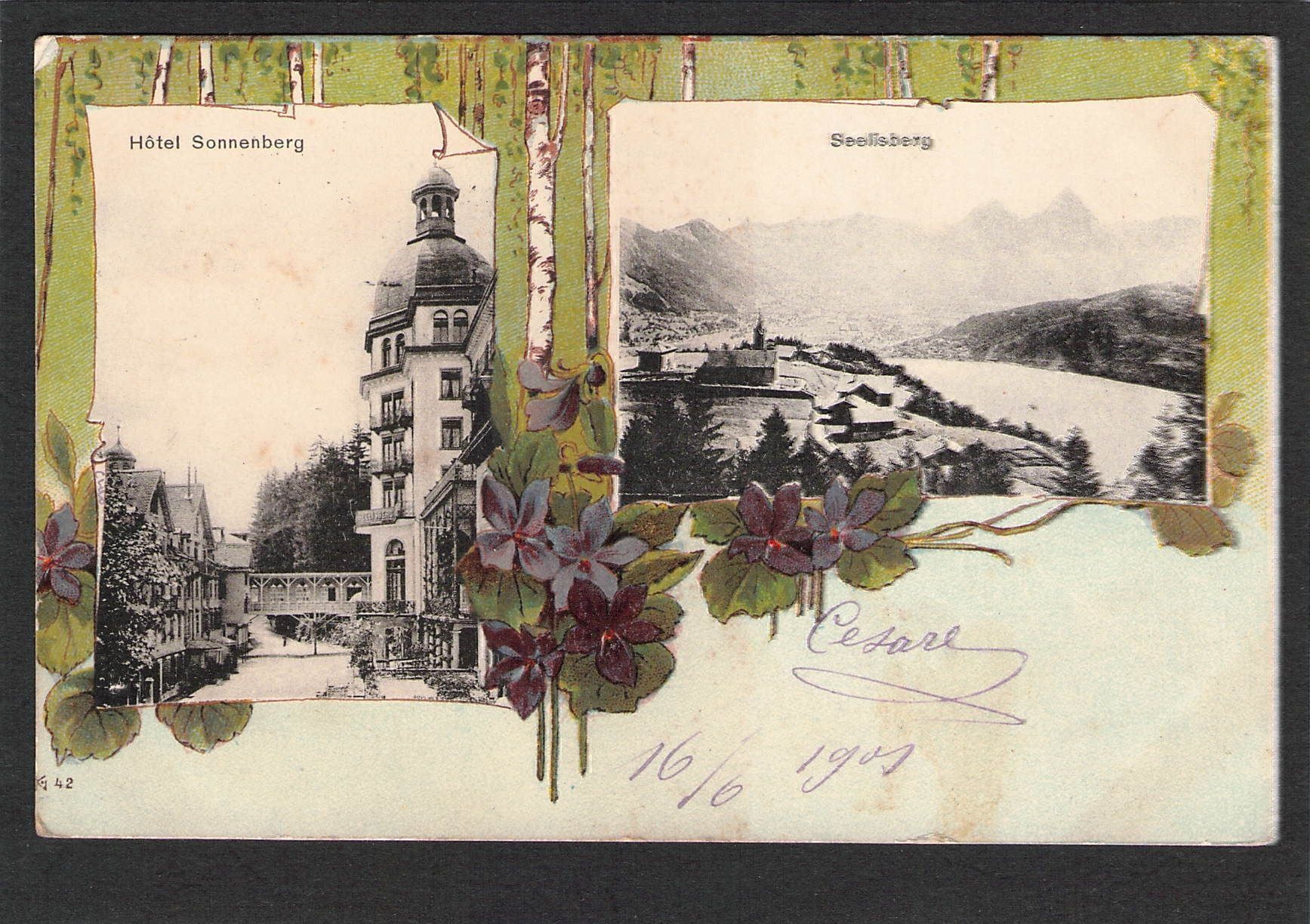 Ansichtskarten: AK,UR Seelisberg , Hotel Sonnenberg,1901 – Gebraucht aus Reichenburg von Pipo-67