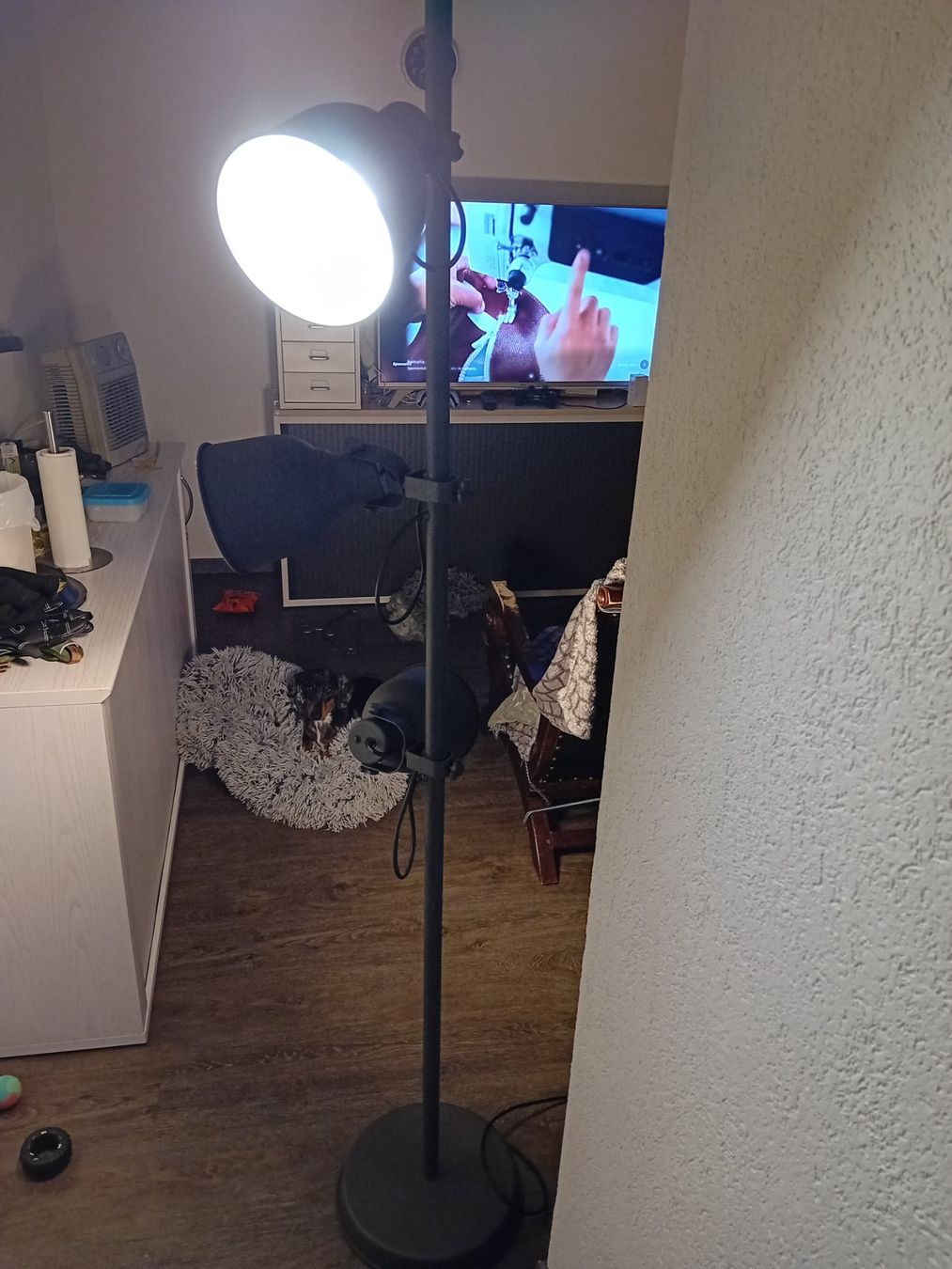 Lampade: Lampe à pied à 3 têtes – Nuovo (secondo la descrizione) da Grenchen venduto da Wolf313 1