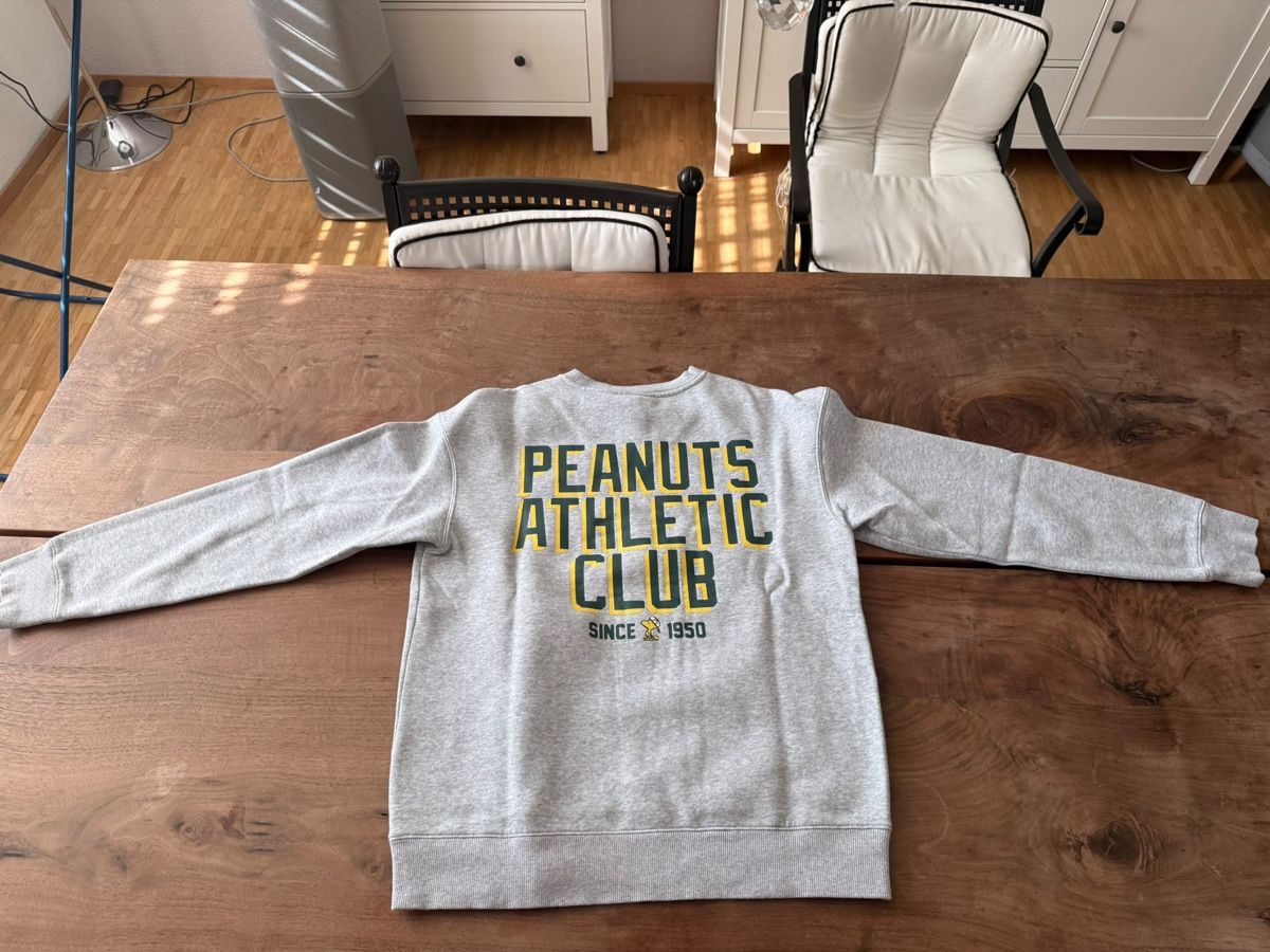 H&M Giacche: Pullover H&M Peanuts Grau Grösse S guter Zustand – Usato da Zürich venduto da michael.frei