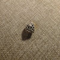 Charm Pandora