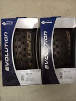 Schwalbe Dirty Dan 29x2.00 Evo TL-Ready neu