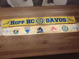 Eishockey Fanschaal HCDavos