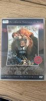 DVD Südafrika & Weisse Haie erleben