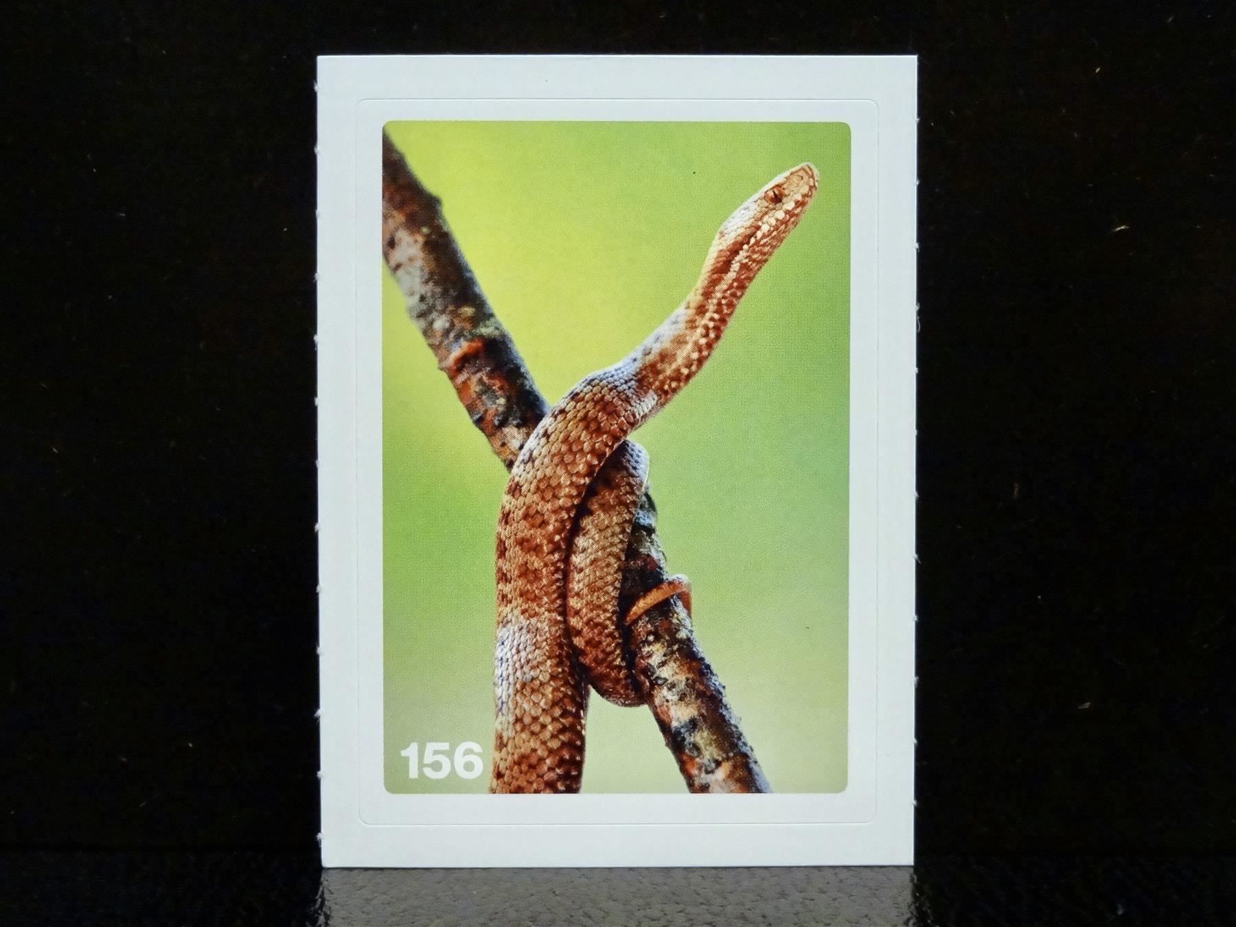 Migros Carte collezionabili: MIGROS MANIA Nature Detectives Nr. 156 – Nuovo e nell'imballaggio originale da Kerzers venduto da zimmergruen