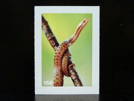 MIGROS MANIA Nature Detectives Nr. 156