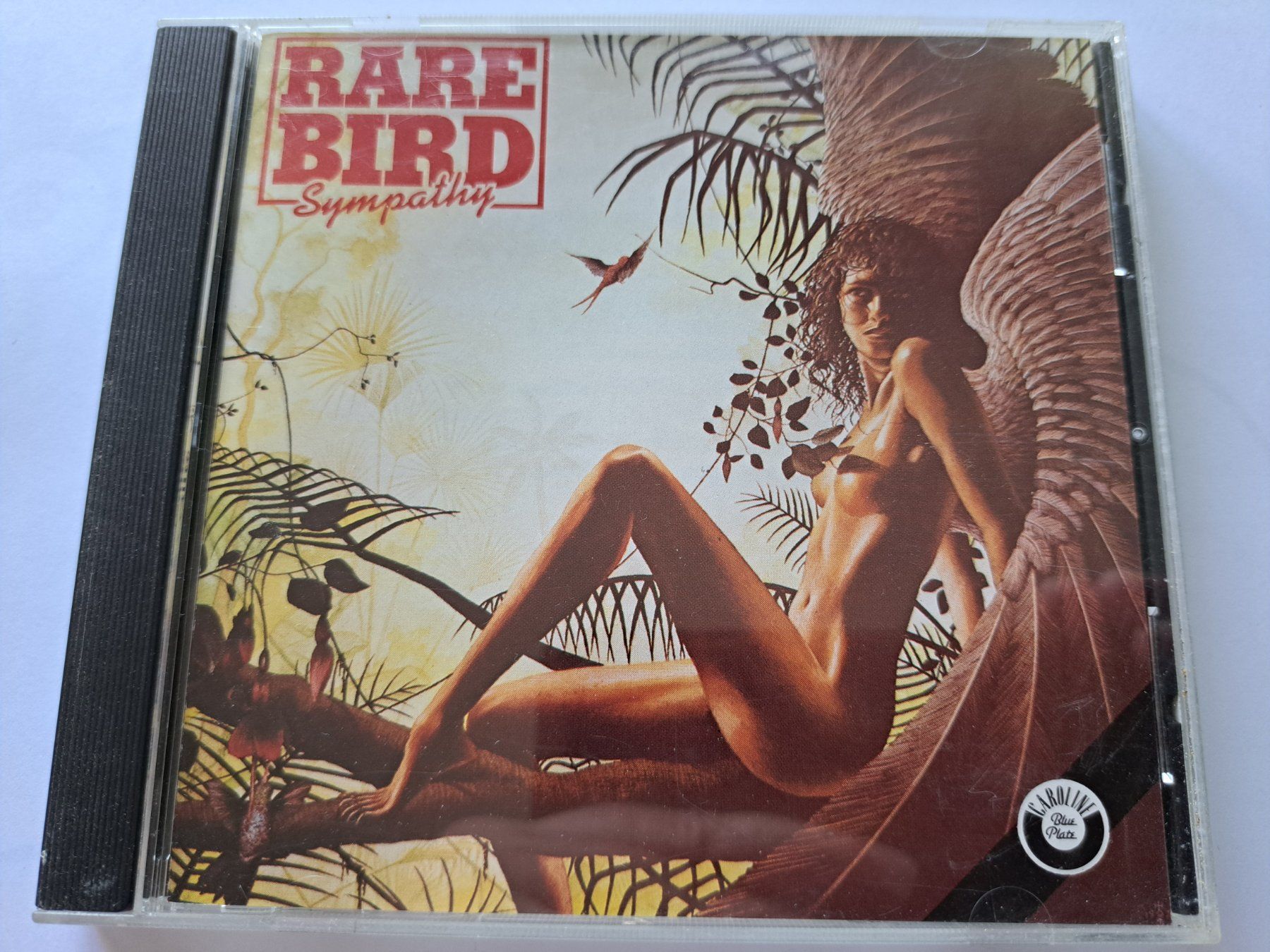 CDs: Cd Rare Bird -- Sympathy – Gebraucht aus Pully von bro_n52j