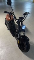 Züriflizzer Roller