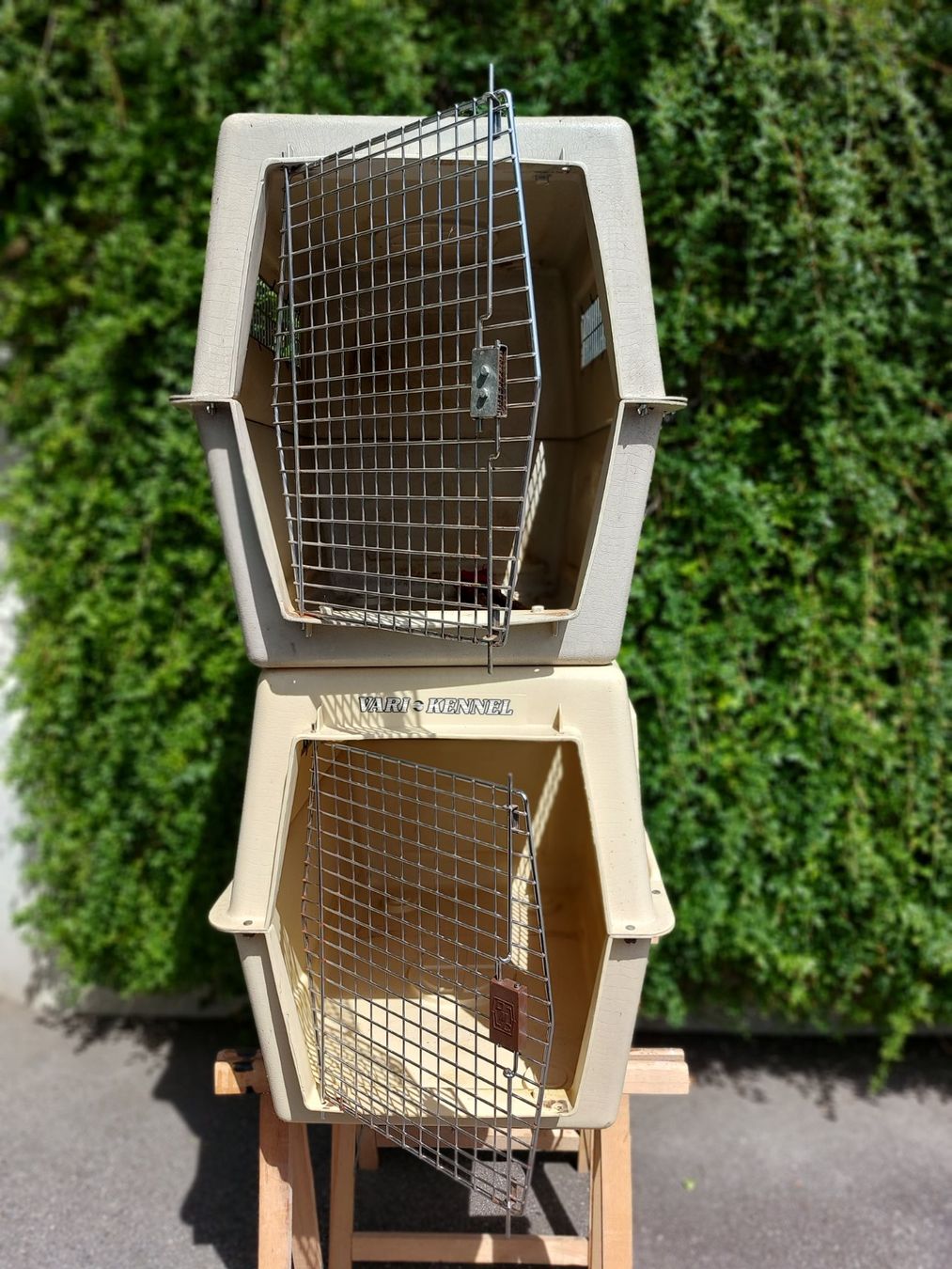 Käfige, Transport & Sicherheit: Hunde Boxen – Gebraucht aus Worblaufen von auzuerch01