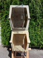 Hunde Boxen