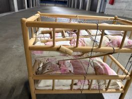 Wooden doll cradle with mattress and bedding used