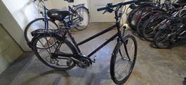 Damen Velo