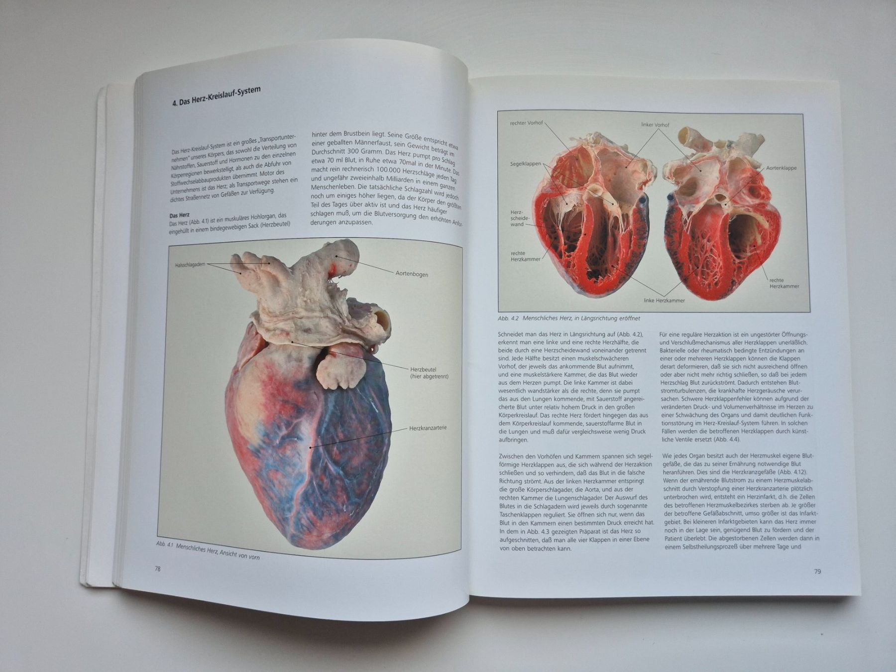 Bücher: KÖRPERWELTEN   🦴🩻 – Gebraucht aus Niederweningen von Obson 4