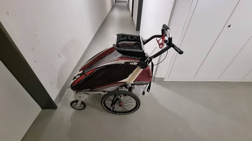 Rimorchi: Chariot mit viel Zubehör – Usato da Zürich venduto da idefix023 4