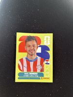  Panini PAR 19