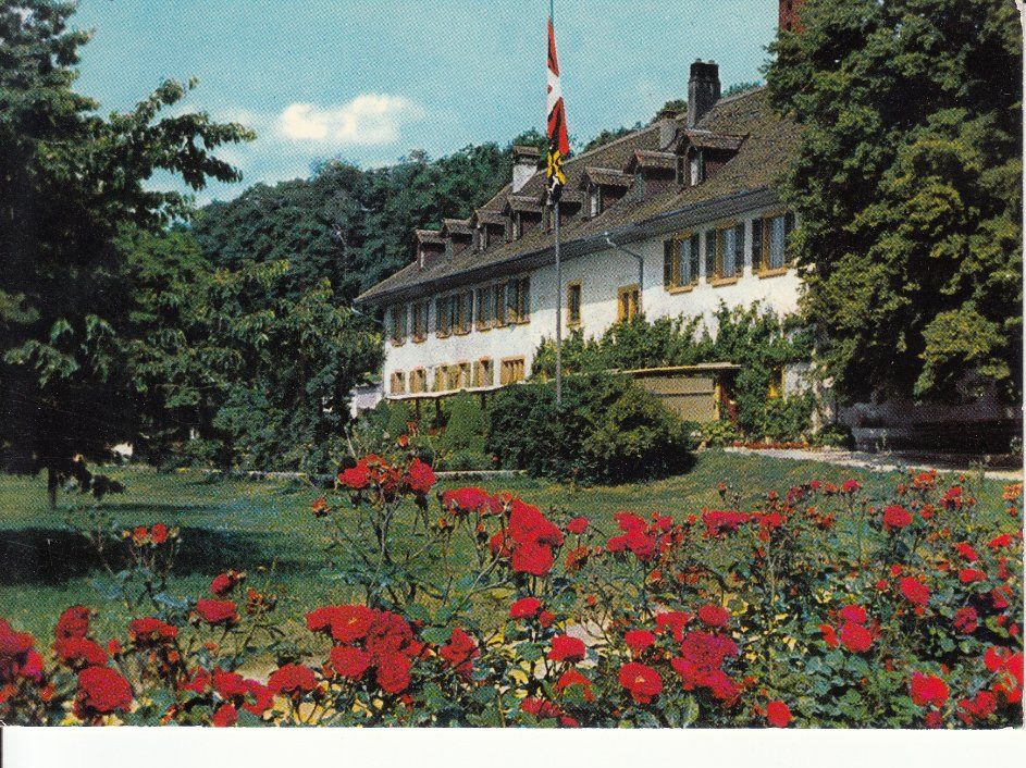 Cartoline postali: St. Petersinsel ca. 1970 – Usato da Bürglen TG venduto da StampGraf