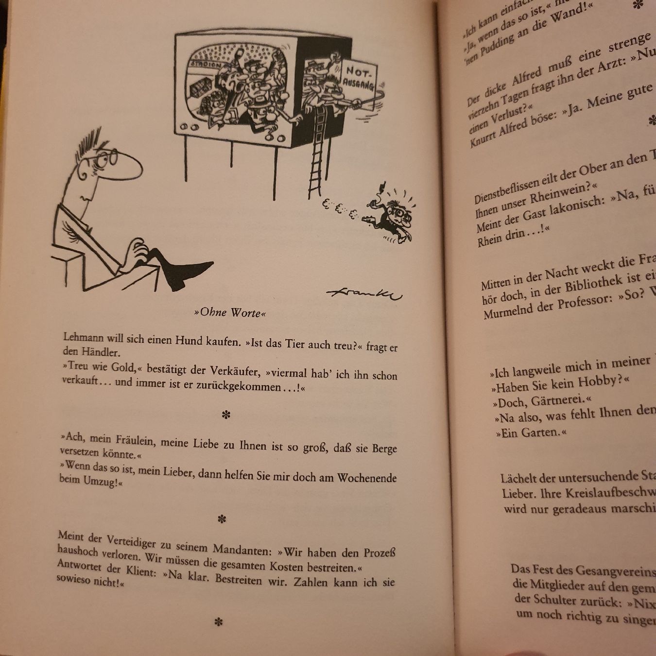 Fumetti: Das Superbuch der Witze – Usato da Elgg venduto da christophorusus 2