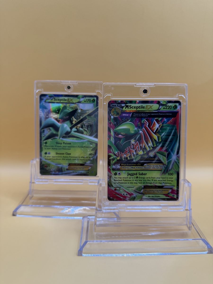 Pokémon Carte collezionabili: Mega Sceptile EX & Sceptile EX  – Usato da Wetzikon ZH venduto da KartenKid