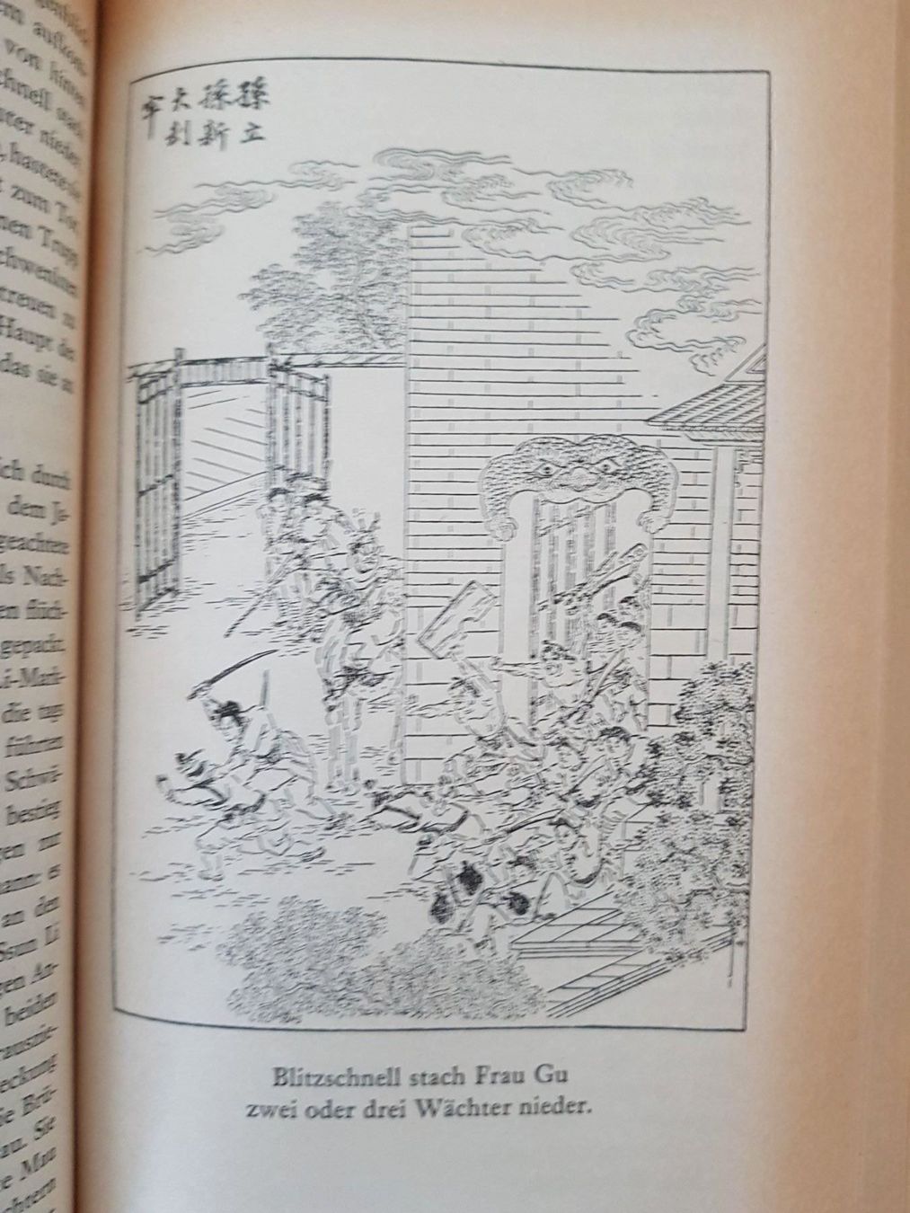 Bücher: DIE RÄUBER VON LIANGSCHAN – Gebraucht aus zürich von gabab 3