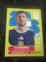 FIFA World Cup sco7