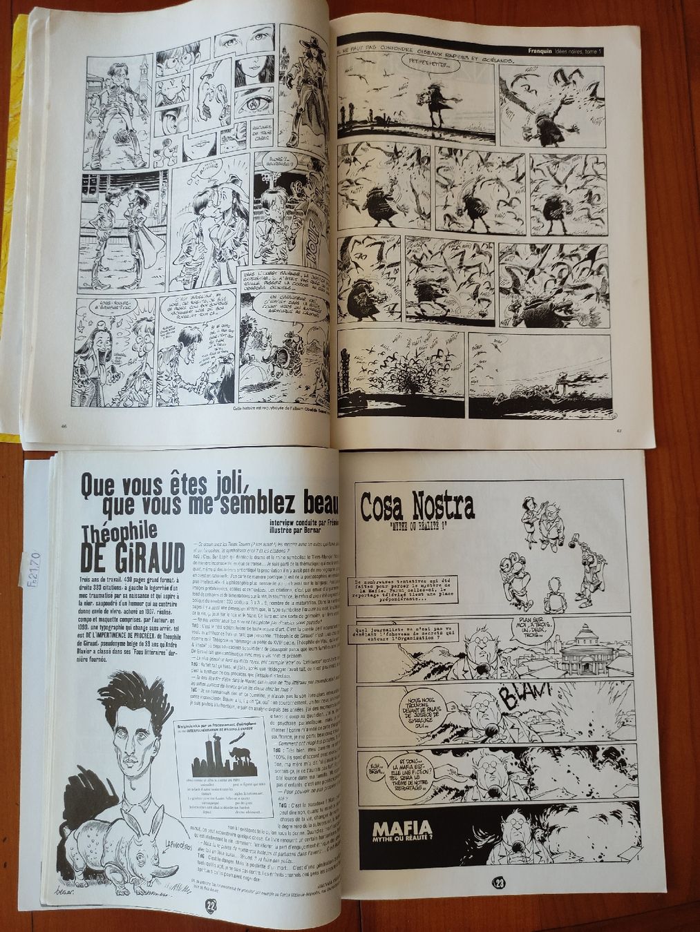 Fumetti: 2x Fluide Glacial – Usato da St. Gallen venduto da Pintador 5