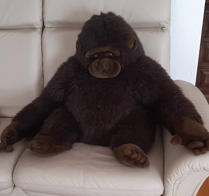Giocattoli: Grosser XXL Plüsch Gorilla – Usato da Abtwil SG venduto da abtwiler 1