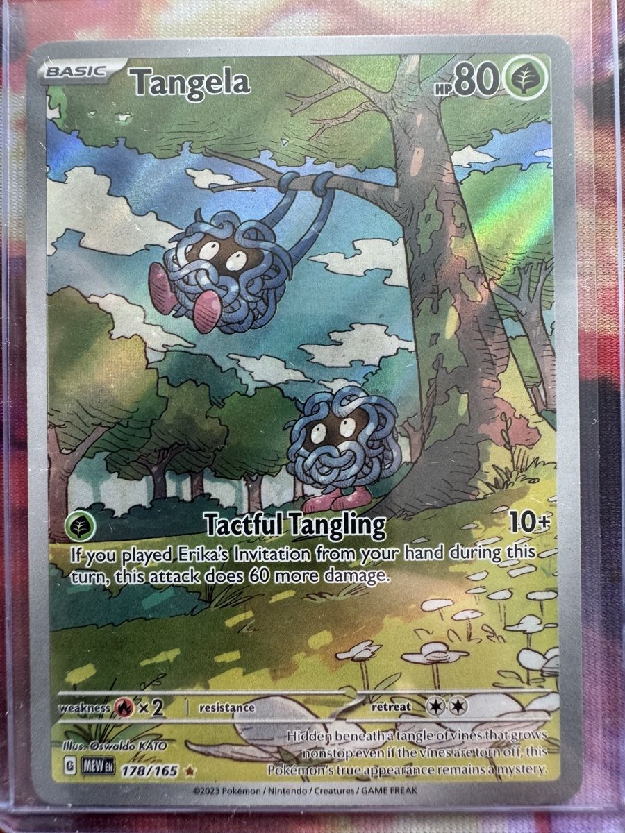 Pokémon Cartes à collectionner: Tangela 178/165 Pokémon 151 – D'occasion à Altendorf par fivep