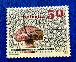 Nr.1506 Gemeiner Strubbelkopfröhrling Dauermarken GESTEMPELT
